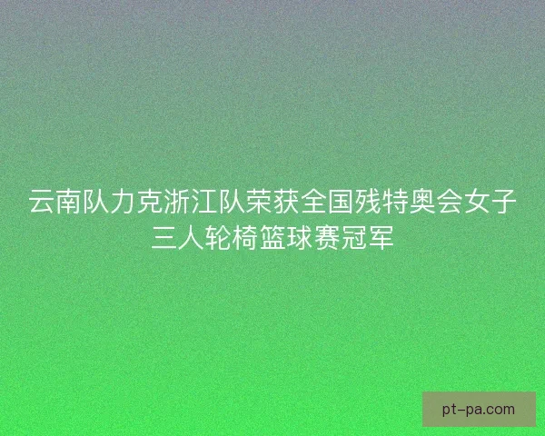 云南队力克浙江队荣获全国残特奥会女子三人轮椅篮球赛冠军